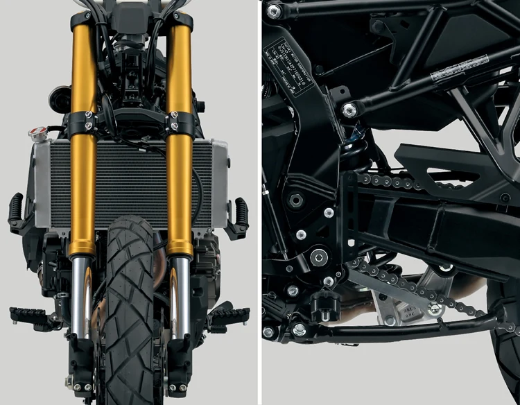 V-STROM 800 DE